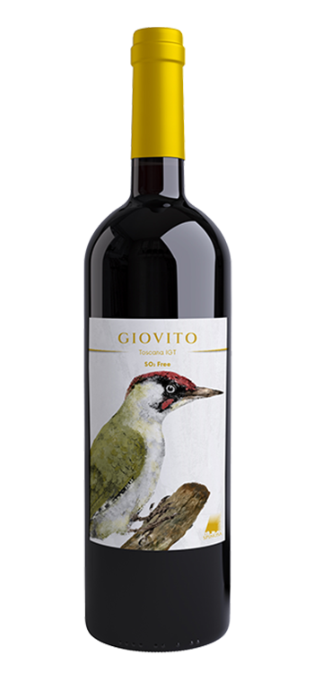 Giovito
