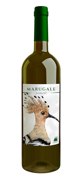 Marugale