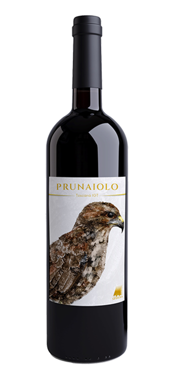 Prunaiolo