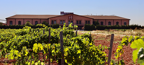 Bodegas Mureda